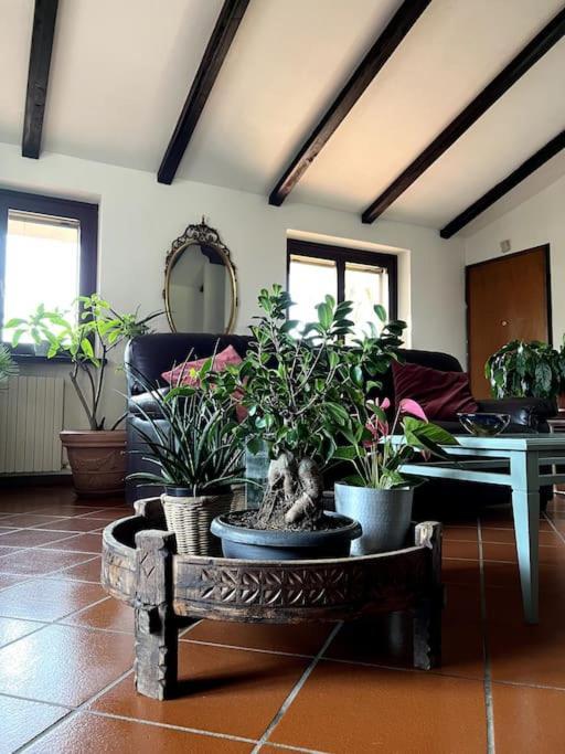 Apartment In Villa La Carruba リヴェルガーロ エクステリア 写真