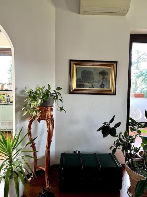 Apartment In Villa La Carruba リヴェルガーロ エクステリア 写真