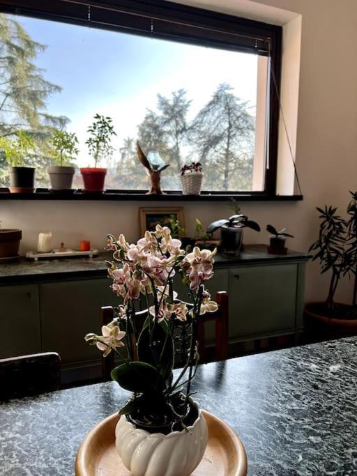 Apartment In Villa La Carruba リヴェルガーロ エクステリア 写真