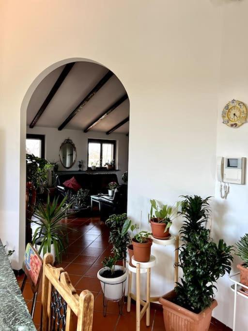 Apartment In Villa La Carruba リヴェルガーロ エクステリア 写真